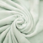Preview: Wellnessfleece Maerchensterne in Pastellgruen, ideal für kuschelige Decken und Kissen