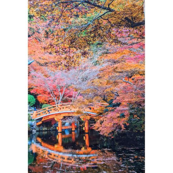 Weich fallendes jersey Panel mit siatischem Motiv