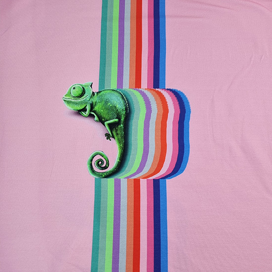 Weicher Modal French Terryy als Panel Bedruckt mit einem in Regenbogenfarbenen Chamäleon