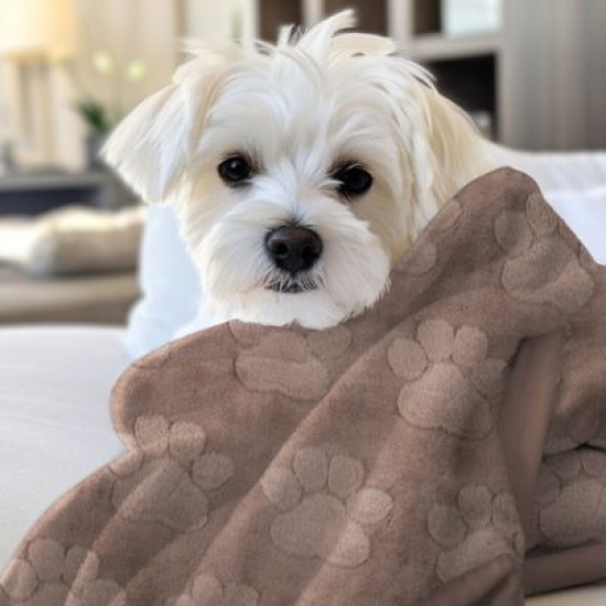 Preview: Kuschelweicher Wellnessfleece in nougat mit Flauschpfoten im Relief gemustert