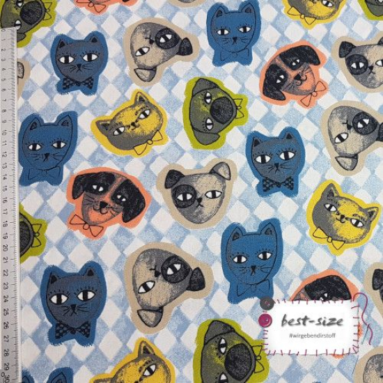 Baumwollstoff mit lustigen Hunde- und Katzenmotiven auf einem blau und weiss karierten Hintergrund