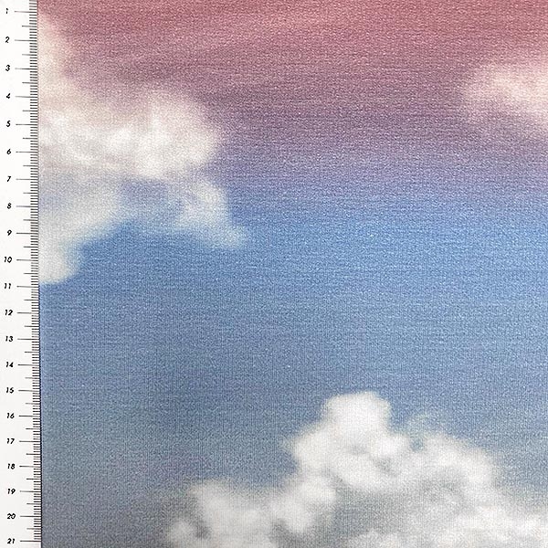 Modal French Terry mit Wolken gemustert in lachs -blau