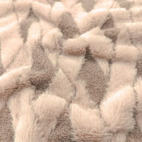 Teddy Fell Rauten Almond