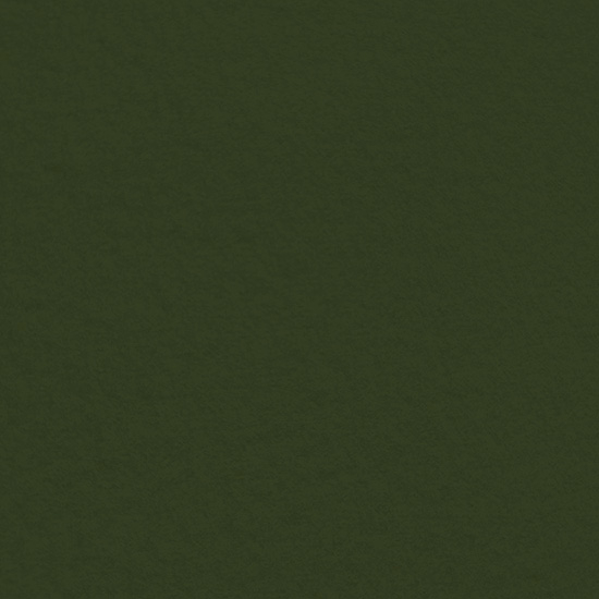 Walkloden Malou in Oliv