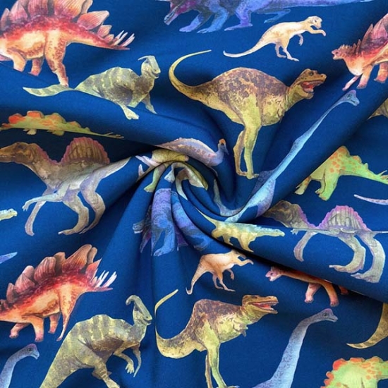 Softshell in blau mit Dinos gemustert